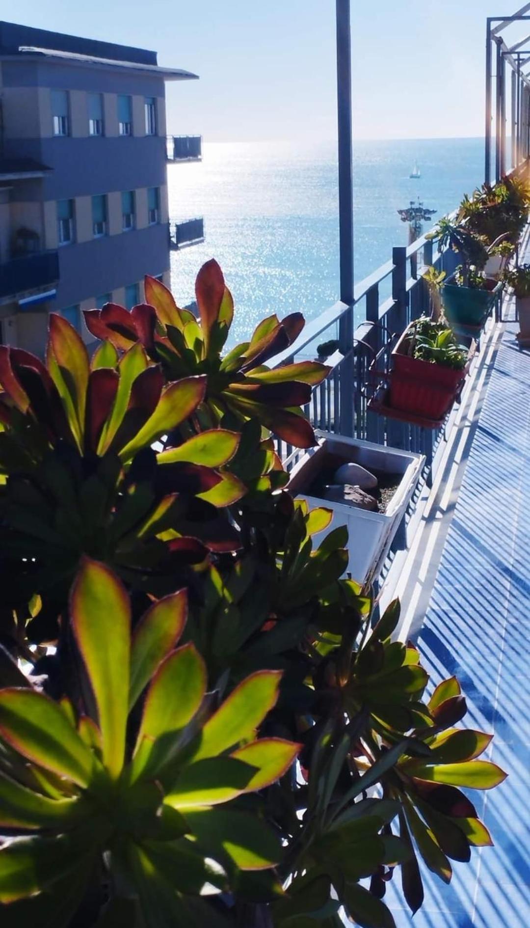 Alta Quota Relax On The Sea Bed & Breakfast Salerno Exterior foto